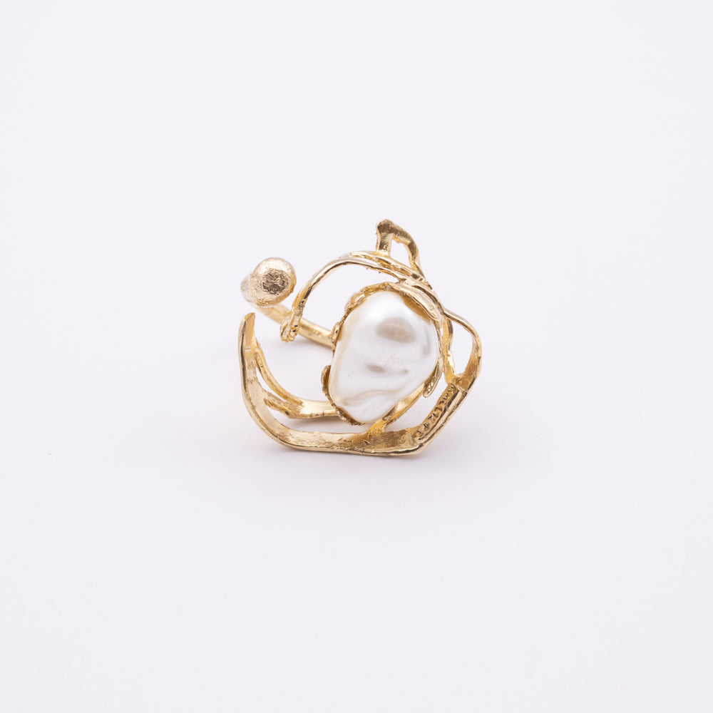 Kalliope GD1959-101-364 – baltā fona attēls
